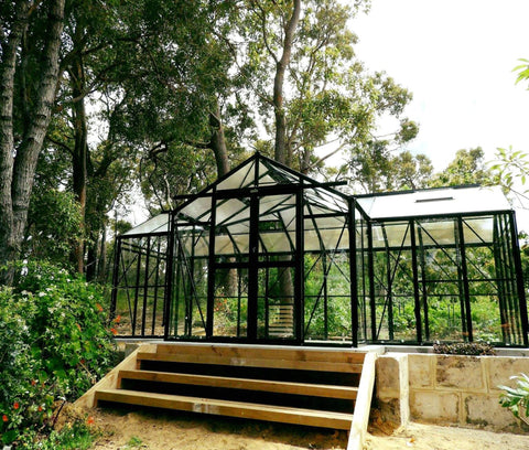 Sproutwell Orangery Glass Greenhouse