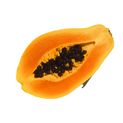 fresh papaya exotic fruit