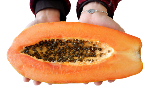 exotic papaya seeds