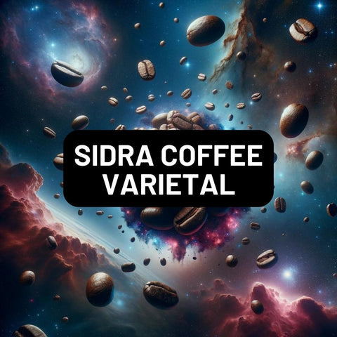 Sidra Coffee Varietal – Einfache Barista-Kaffeebohnen – Frisch geröstete Kaffeebohnen, Spezialkaffee