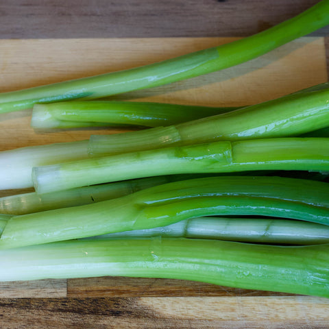 Spring Onion Latte - Viral Chinese Recipe Taste test - What does the Onion coffee latte taste like?