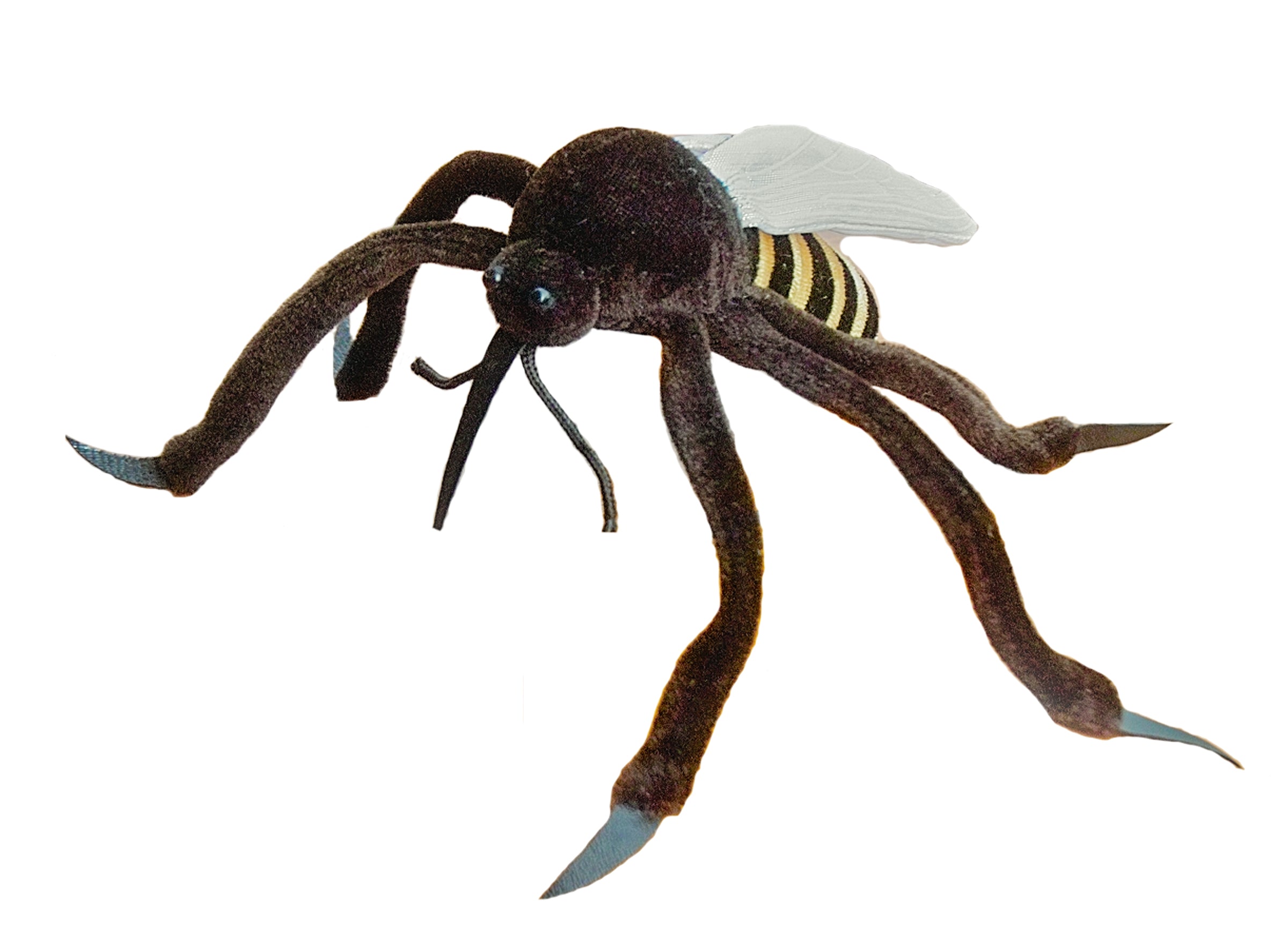 Mosquito (Culex Pipiens) - Giant Microbes Canada product image