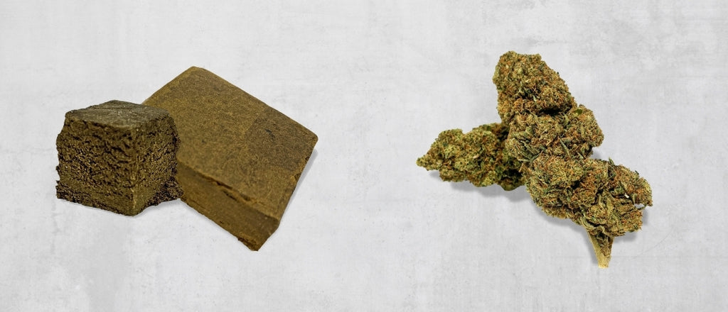 Haschisch vs. Marihuana; Hasch vs. Gras