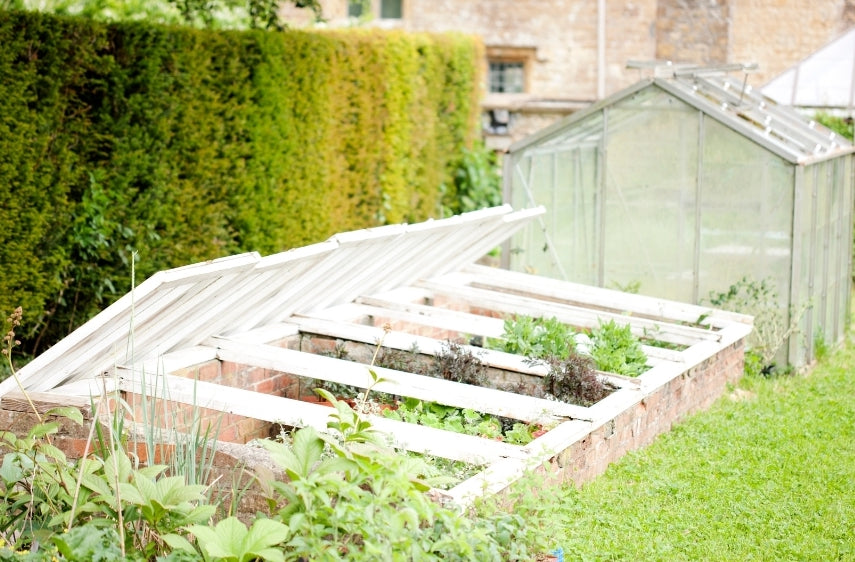 Cold Frames, Beete, Cannabis anbauen