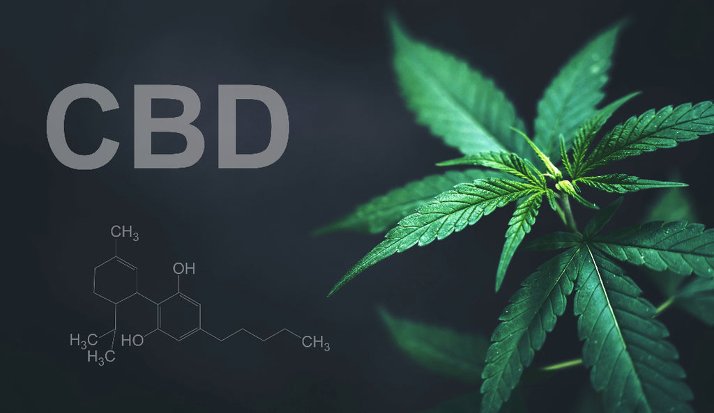 CBD-Formel; CBD-Pflanze; CBD bei Angststörungen