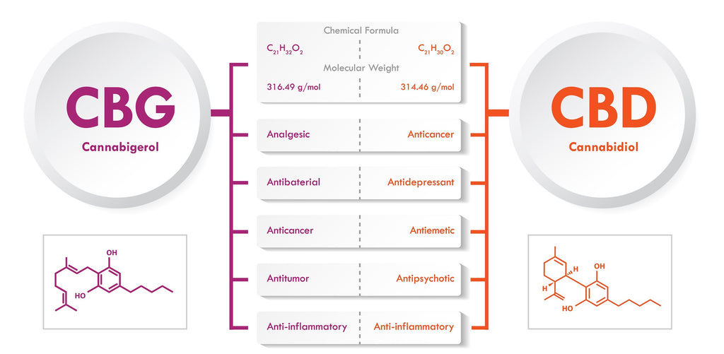 die Unterschiede von CBD und CBG grafisch dargestellt