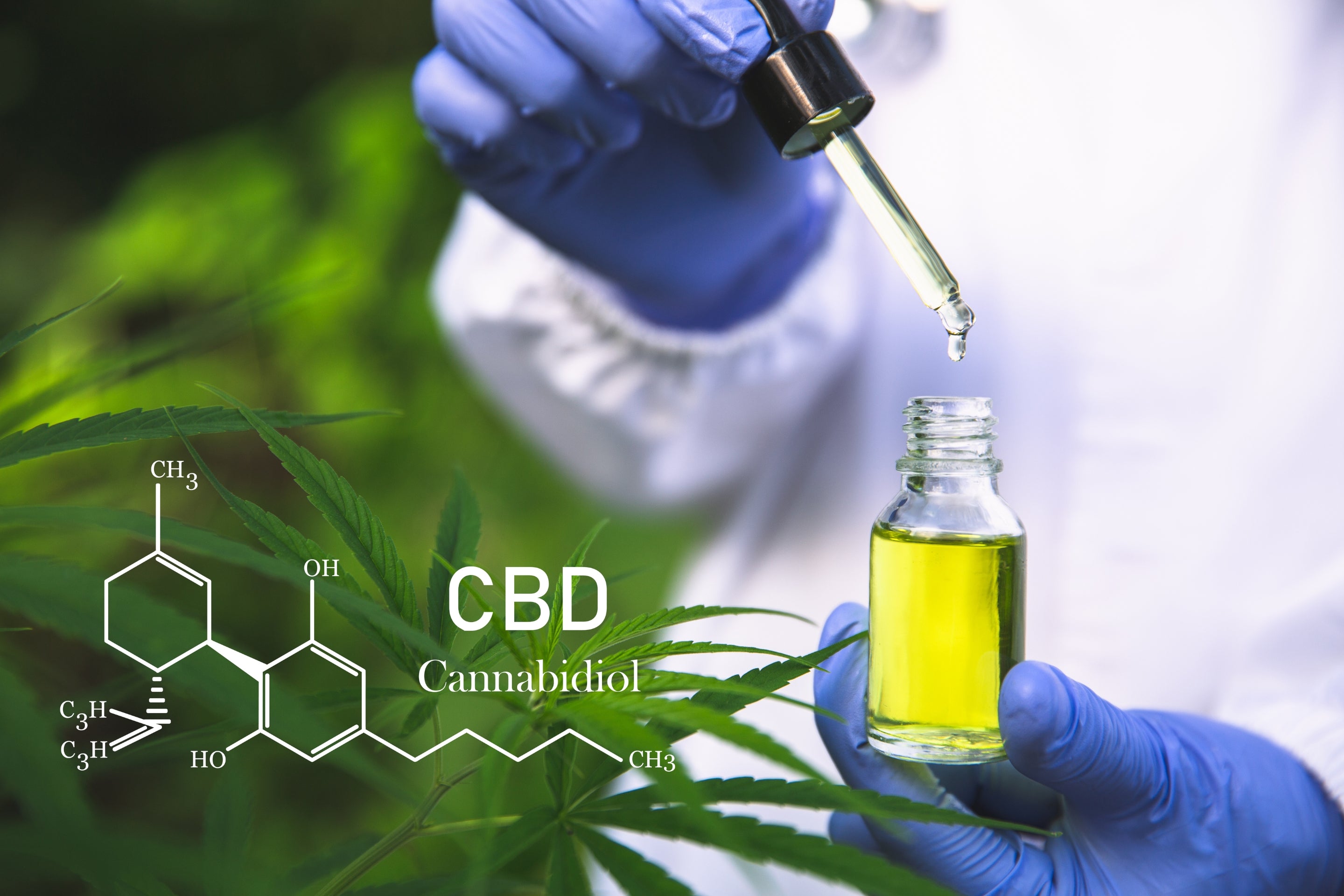 Cannabidiol-Formel; CBD im Labor getestet