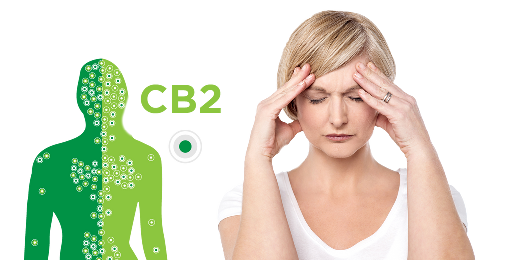 Verteilung von CBD im Körper; Frau bekämpft ihre Migräne mit CBD