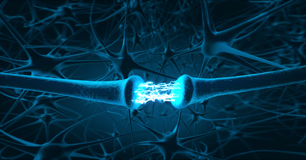 Gehirn-Netzwerk; Neuronen; Stresslösen mit CBD