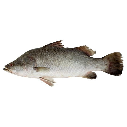 Ikan Siakap Kecil (1 pc)