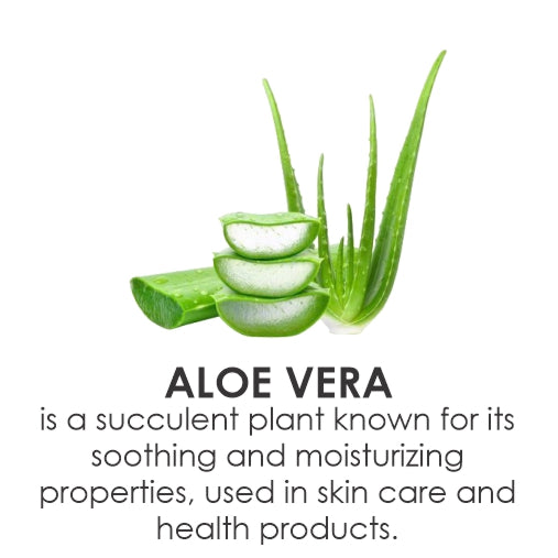 Aloe vera ing1 (2).jpg__PID:2aeaec71-30e2-43a5-880e-bd3647f6d7ee