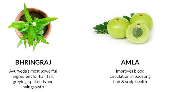 ayurvedic-anti-hair-fall-oil-with-goodness-of-bhringraj-amla