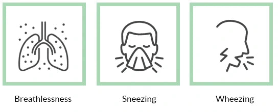 main-concerns-for-cough