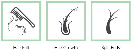 sukesham-anti-hair-fall-oil-recommended-for-hairfall-thinning-splitends