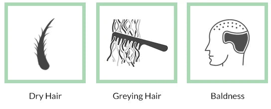 sukesham-anti-hair-fall-oil-recommended-for-dryhair-baldness-greying-hair