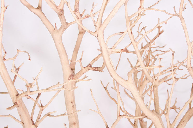 Manzanita, sandgestrahlt, verzweigt, 90-100 cm (PV) Sonstige Deko | fleur ami | dasKARL-Living