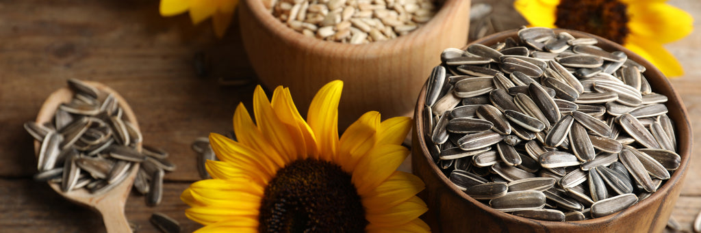 Sunflower Seeds