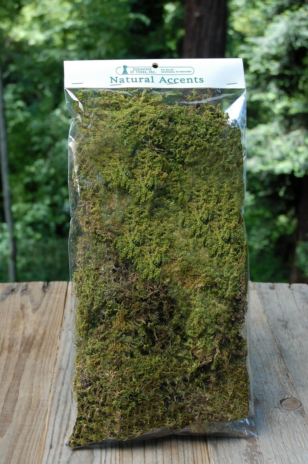 Terrarium Kit with Bark, Stones, Lichen, and Moss - Quick Candles