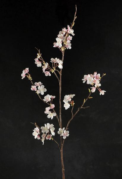 Faux Cherry Blossom Stem – Beaudry Flowers