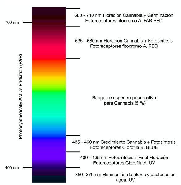 cultivo con led