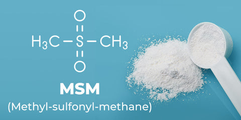 What does an MSM molecule look like?