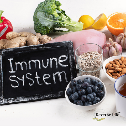ReverseLife_BlogImage_ImmuneSystem