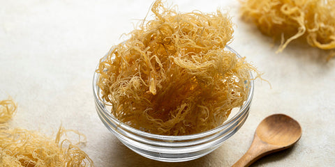 Image Showing Sea Moss in a Bowl