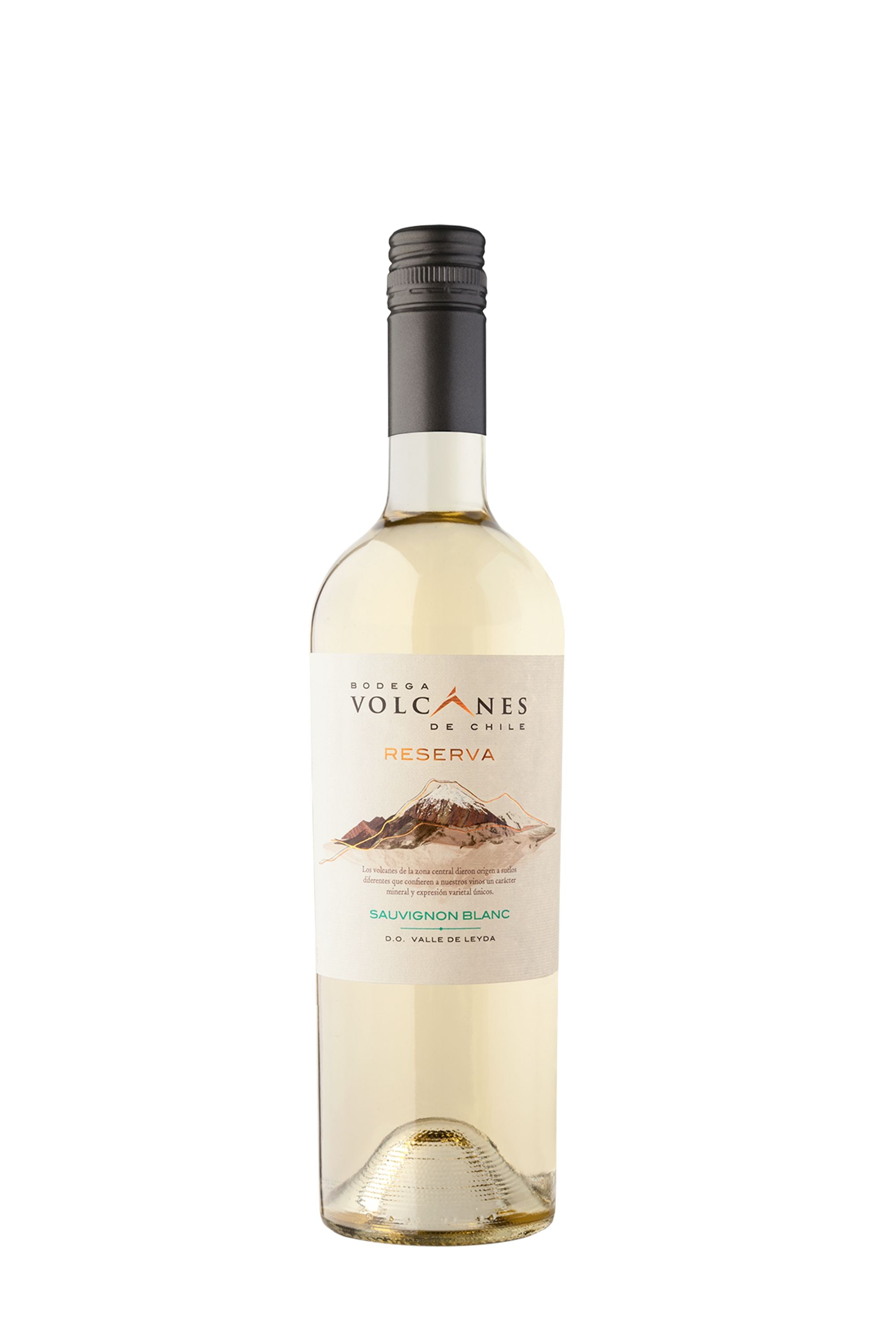 Volcanes Blanc Sauvignon 2021 Reserva