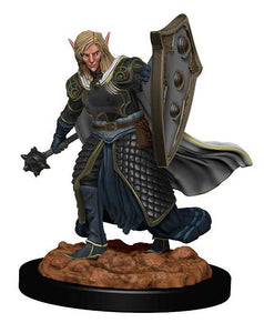 D&D: Icons of the Realms - Elf Male Cleric