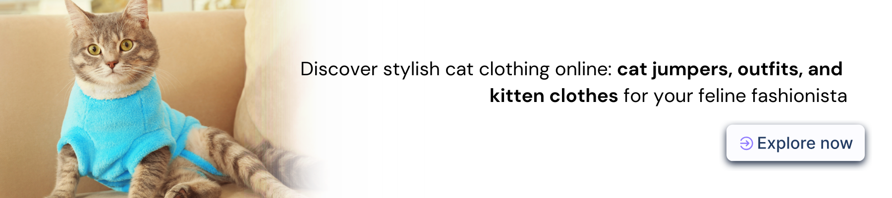 buy cat clothing online in Australia