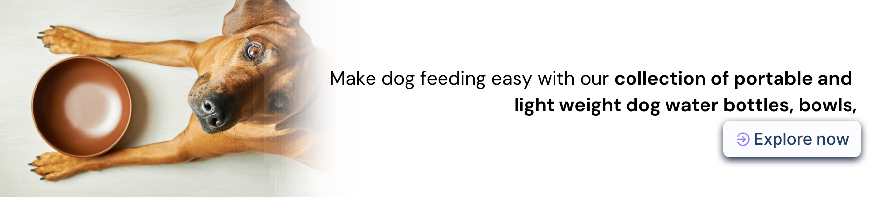 buy dog feeding products online in Australia