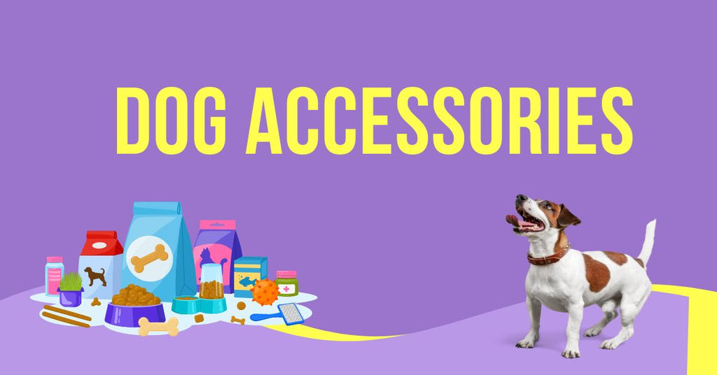 trends in dog accessories