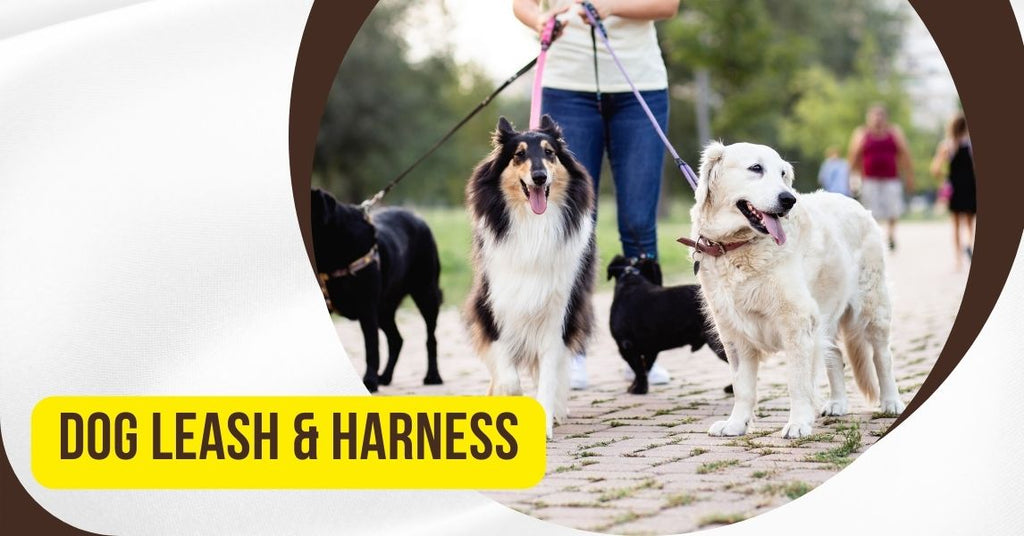dog leashes and harnesses