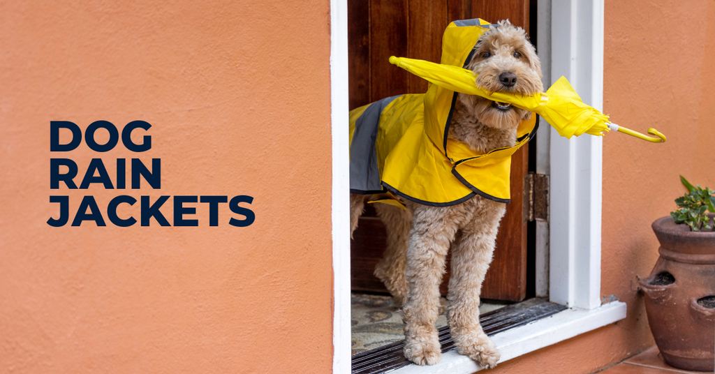 Best dog rain jackets