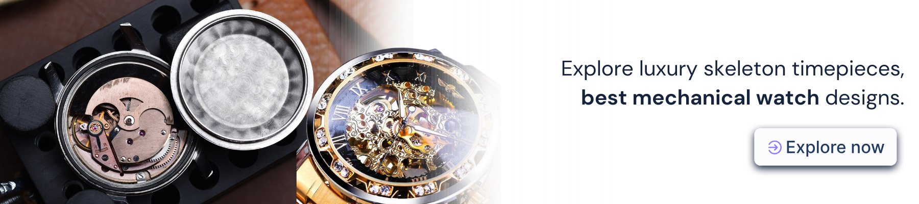 buy mechanical watches online in Australia