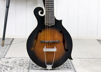 mandolin