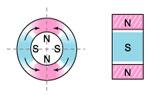 multipole oriented in segments on inside diameter*