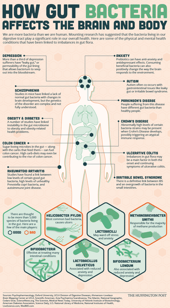 Huffington Post infographic shared by Inspired by Dawn on the impact of a healthy gut