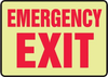 Emergency/Exit Signs | www.signslabelsandtags.com