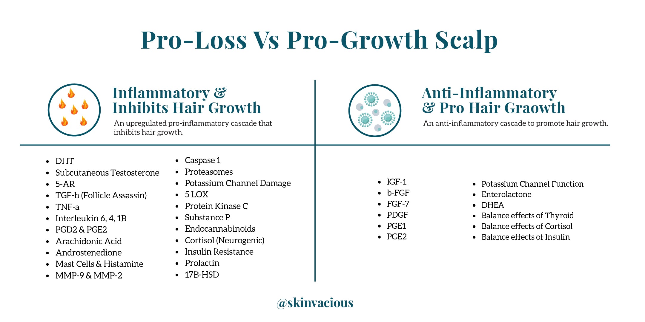 Pro Hair Loss Vs. Pro Hair Growth; Inflammatory vs Anti-Inflammatory - skinVacious