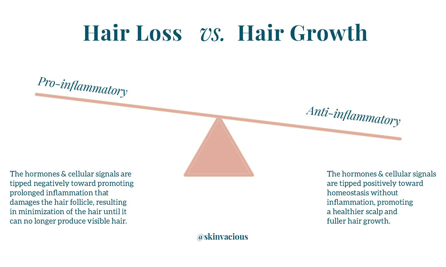 Hair Loss vs Hair Growth - skinVacious