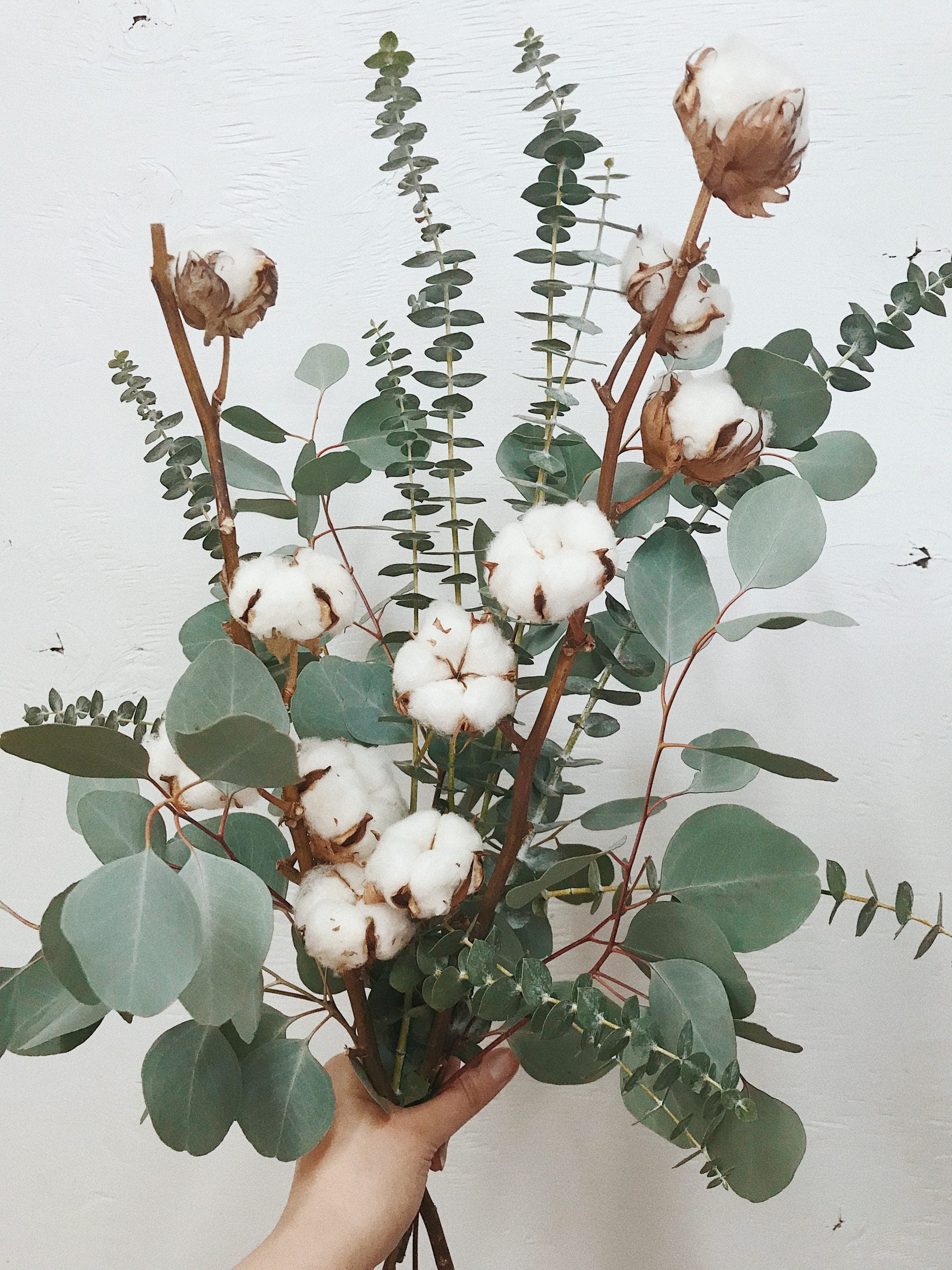 Bouquet d' eucalyptus et fleurs de coton – Il était une fleur