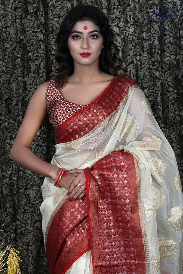 Contour & Bronze (Saree)