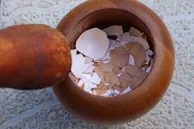 Grinding Egg Shells For Dogs