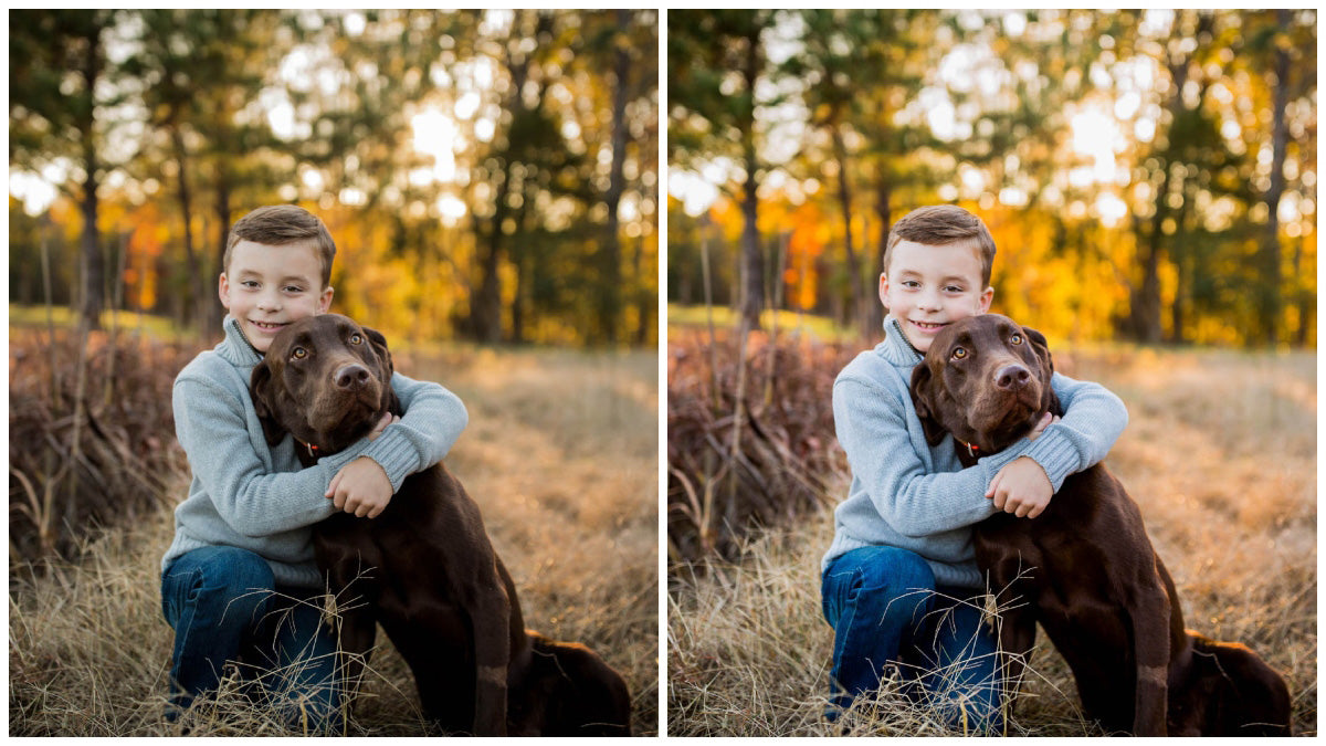 The Best Creamy Portrait Lightroom Presets