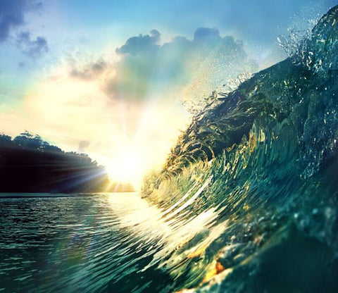 Surf & Waves Themed Wallpaper | AJ Wallpaper