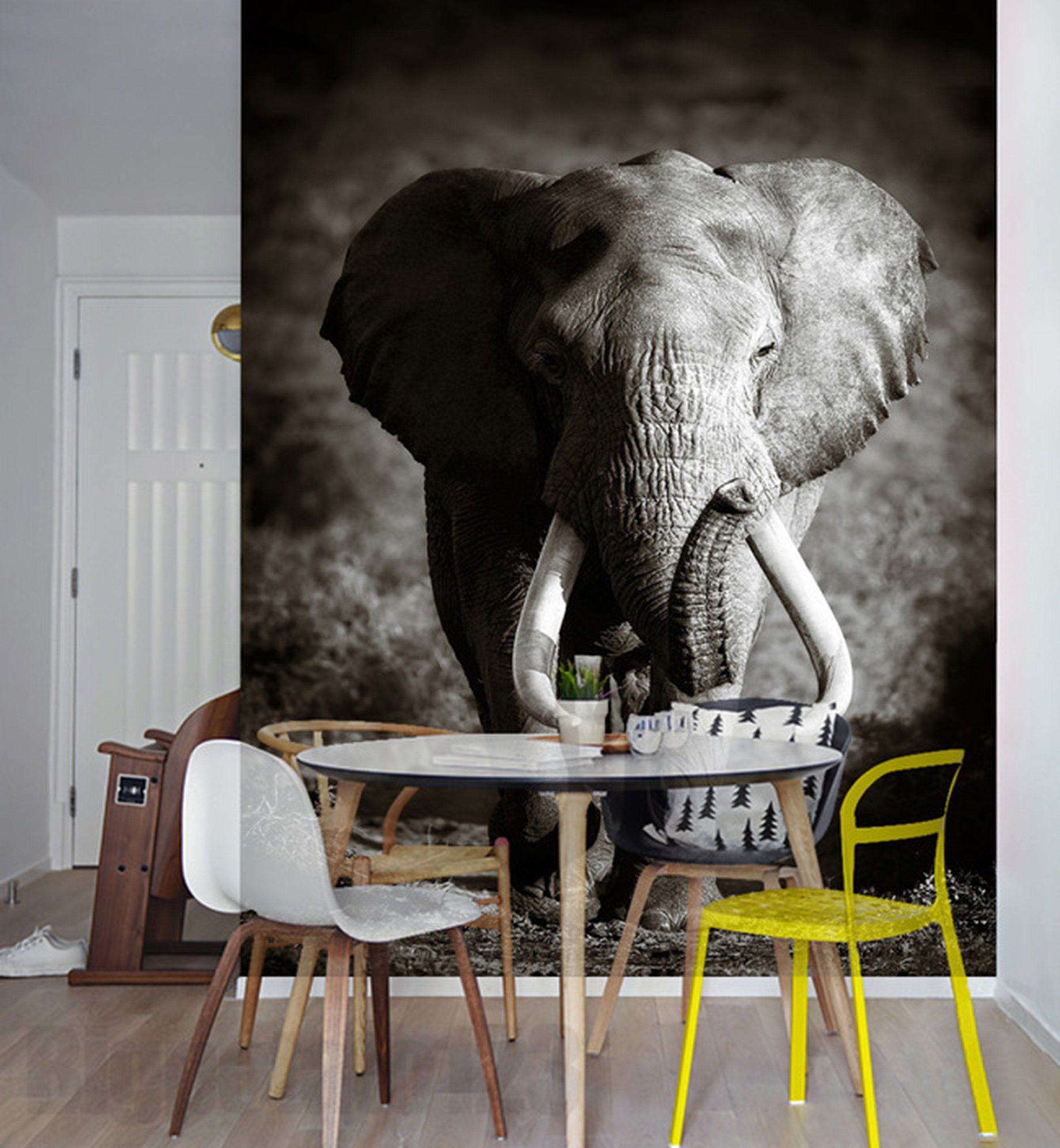 3D Elephant 371 Wall Murals | AJ Wallpaper