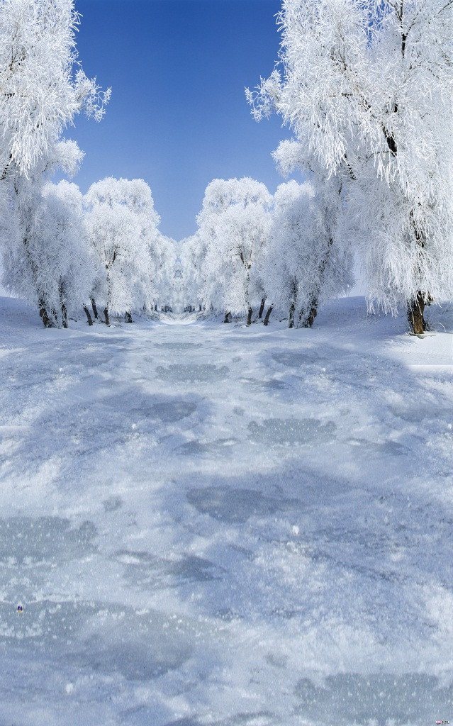 Hình nền cửa kính rừng tuyết 3D: Hãy tưởng tượng mình đang đứng trước cửa sổ, nhìn ra khung cảnh của một khu rừng tuyết trắng xóa. Hình ảnh thật sự đẹp lung linh và sống động như những cơn gió se lạnh đang thổi chạm vào kính. Đừng bỏ lỡ cơ hội xem những vành đai cây xanh đẹp như tranh 3D này.