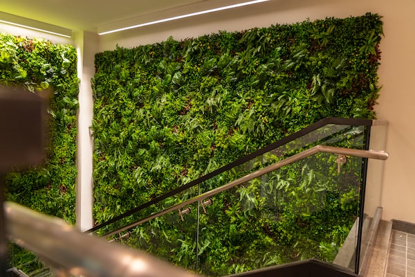 Green Wall Indoors