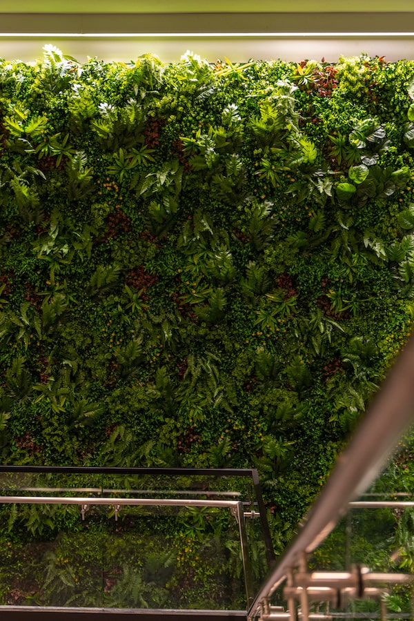 Green Wall Indoors